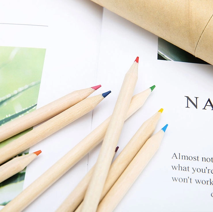 Eco Friendly Color Pencil - 01