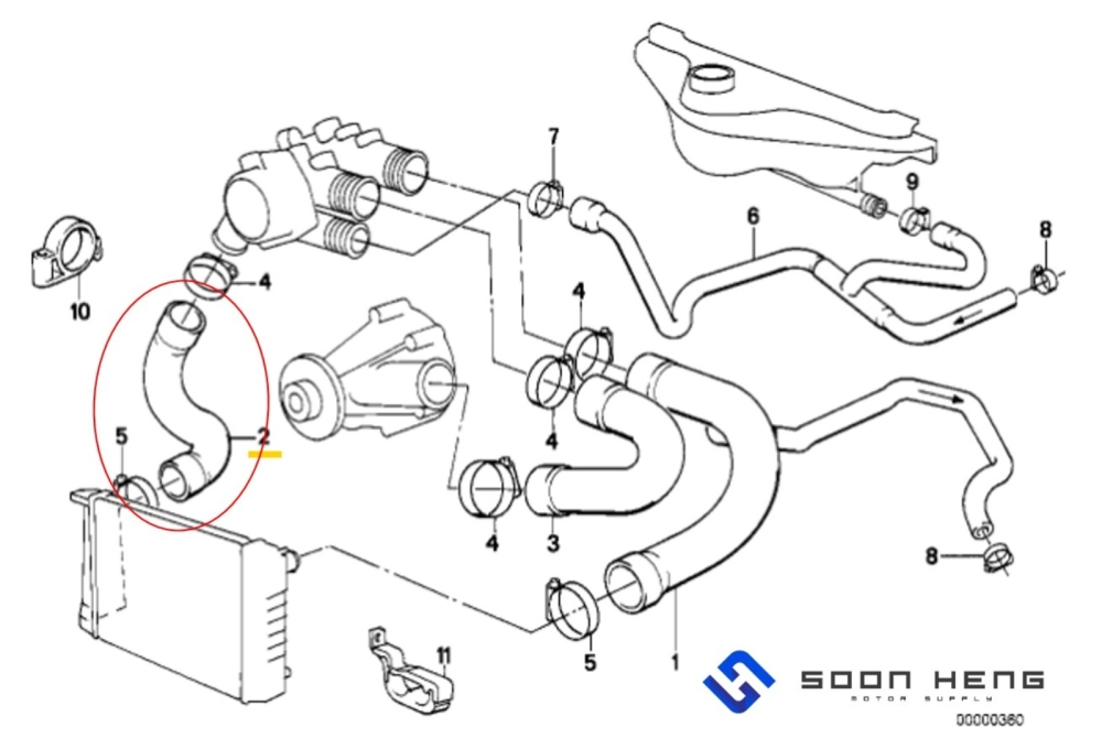 BMW E34, E24 and E32 with Engine M30 - Radiator Hose (Bottom) (CONTINENTAL)