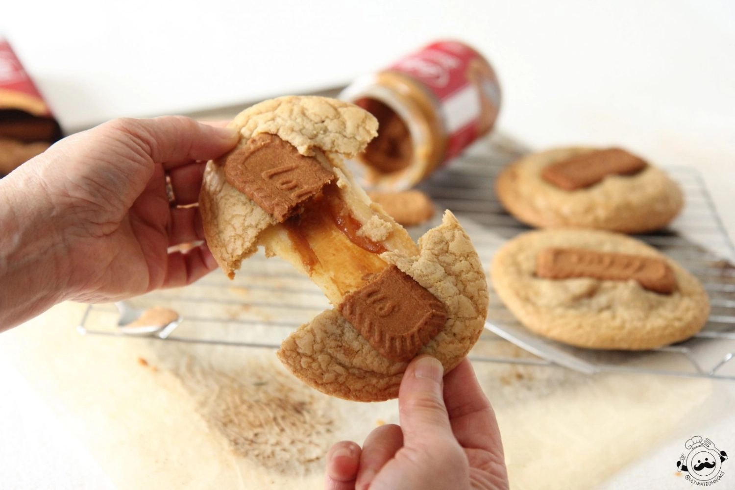 Lotus Biscoff Biscuit Ingredient Penang, Malaysia, Butterworth Supplier ...