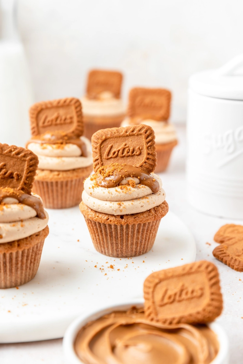 Lotus Biscoff Biscuit Ingredient Penang, Malaysia, Butterworth Supplier ...