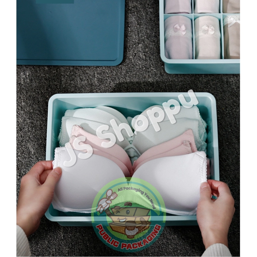 Innerwear Socks Bra Storage Box Organizer 衣物文胸内裤袜子收纳盒 (Plastic Box)  Packaging Plastic Bag Perak, Malaysia, Ipoh, Batu Gajah Supplier,  Wholesaler, Supply, Supplies