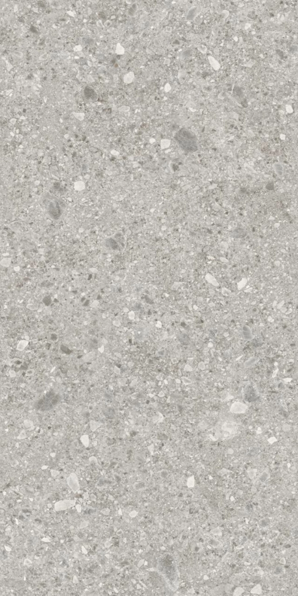 TERRAZZO LIGHT GREY DA2S223BD1 (1200X2400X12mm) 