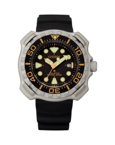 Citizen Promaster Dive 