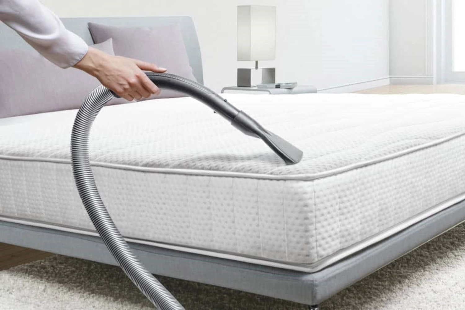 Mattress Mite Cleaning