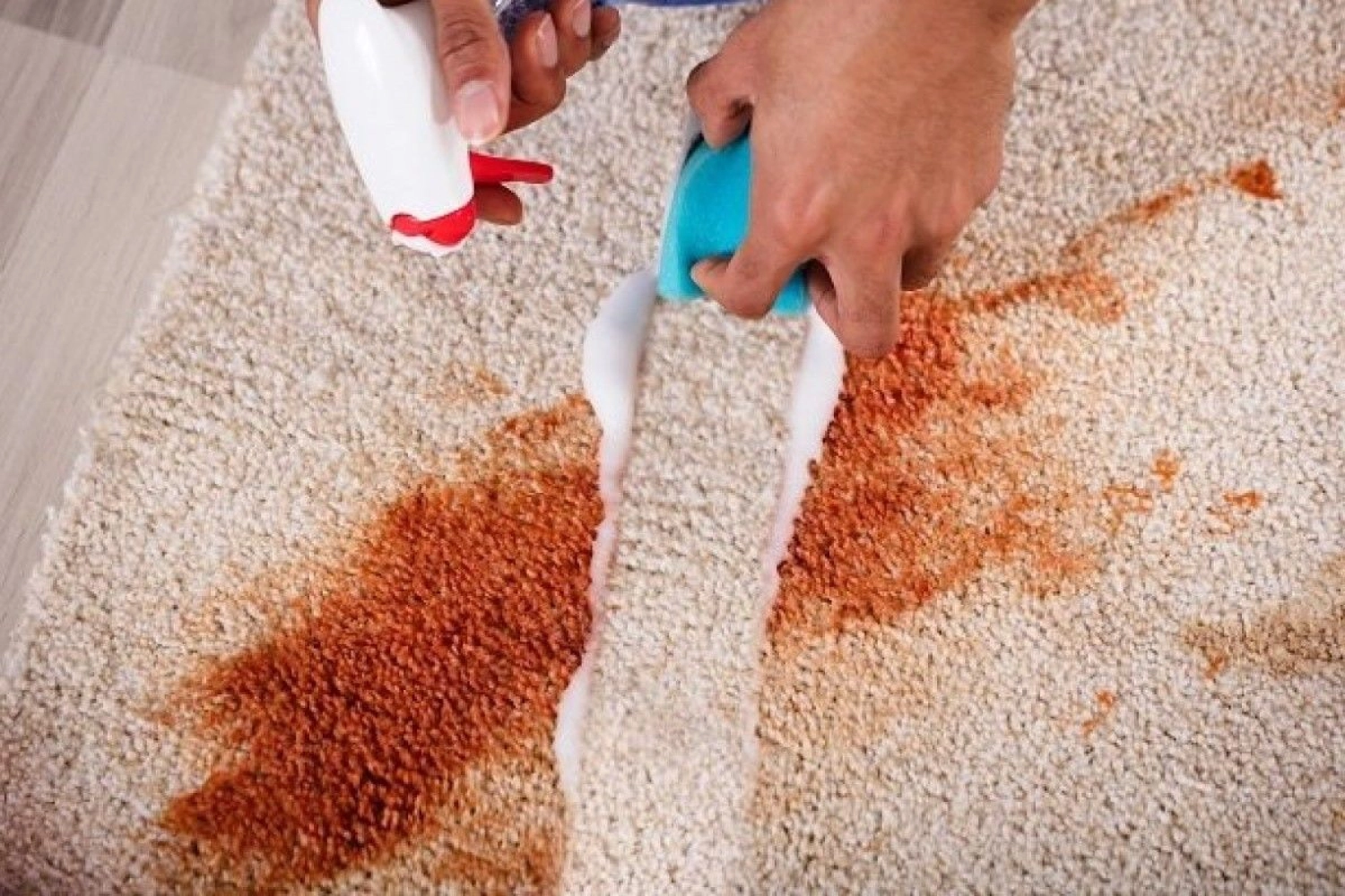 Carpet Stain Cleaning