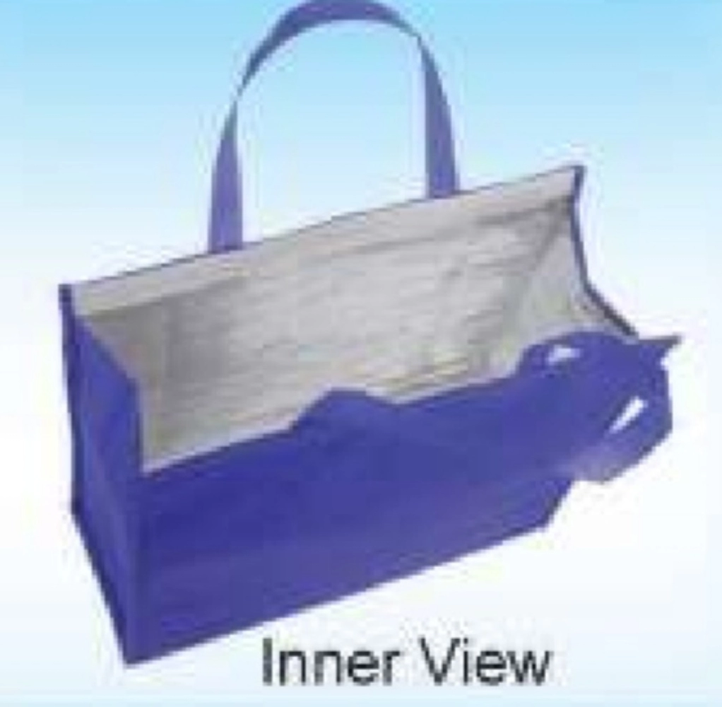 COB 415 Cooler & Warmer Bag