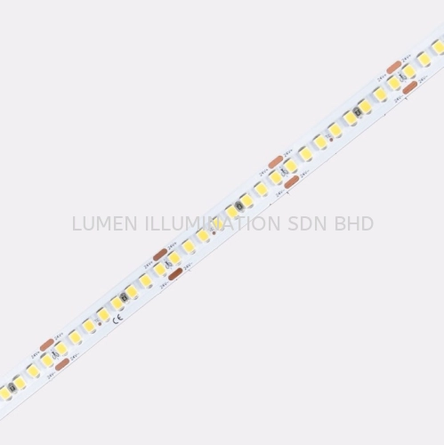 LED STRIP - D8192-24V-10mm  