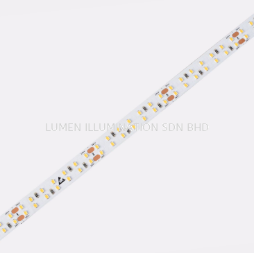 LED STRIP  - D6280-24V-10mm