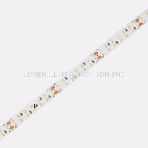  LED STRIP  - D6280-24V-10mm 