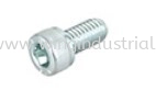 Zinc Plated Steel Hex Socket Cap Screw (N-2)