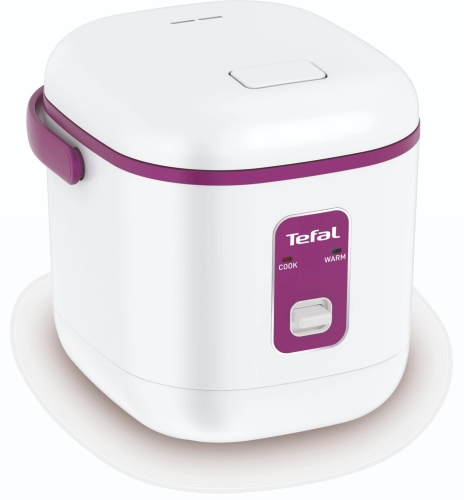 Explore Features You Must Know of Tefal Delirice Plus Rice Cooker