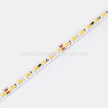 LED STRIP ( TONING SERIES ) - DT8168SWW-24V-10mm