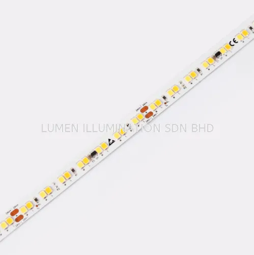  LED STRIP ( TONING SERIES ) - DT8168SWW-24V-10mm