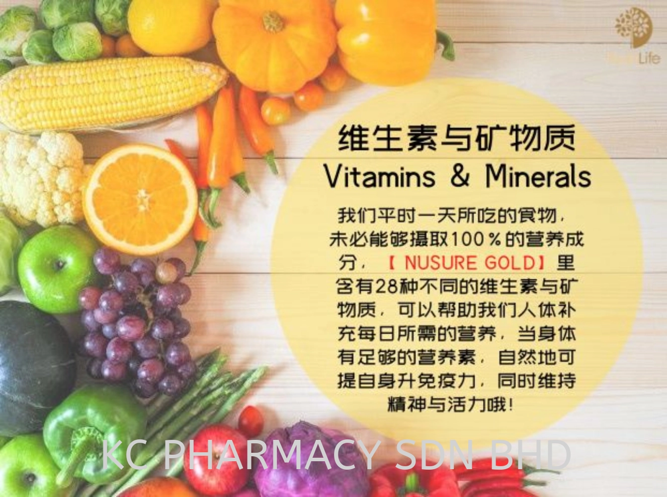 NUTRILIFE NUSURE GOLD + HMB NUTRITIOUS DRINK 850GM 全面营养能量饮