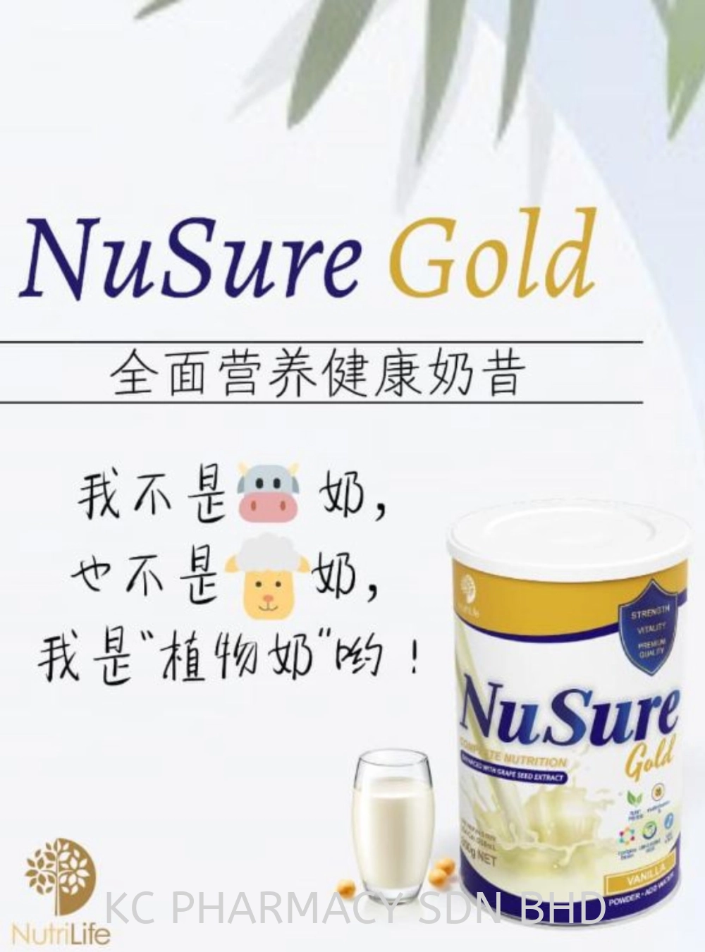 NUTRILIFE NUSURE GOLD + HMB NUTRITIOUS DRINK 850GM 全面营养能量饮