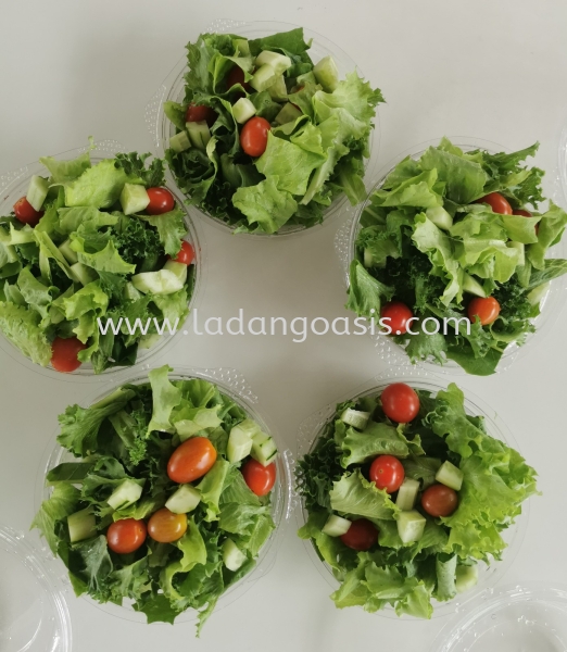 Freshly harvest salad box Vegetables Penang, Kuala Lumpur (KL), Malaysia Supplier, Wholesaler, Provider | Ladang Oasis Sdn. Bhd.