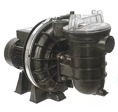 La Sta-Rite P-STR Pool Pump 