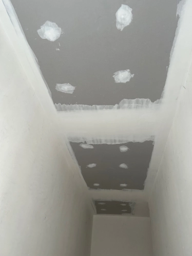 Plaster Cieling (height)