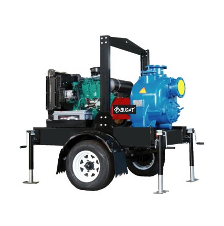 PORTABLE DIESEL ENGINE PUMP  Diesel Engine Pumps Malaysia, Kuala Lumpur (KL), Selangor Supplier, Suppliers, Supply, Supplies | Budget Corporation Sdn Bhd