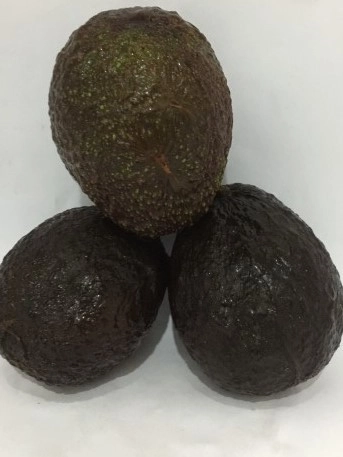 AVOCADO (BIJI) 鳄梨 粒