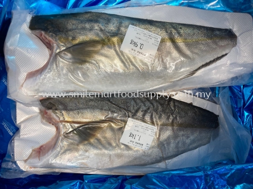 SMJ-00000 Fresh Kanpachi Fillet (Yellowtail Fillet )