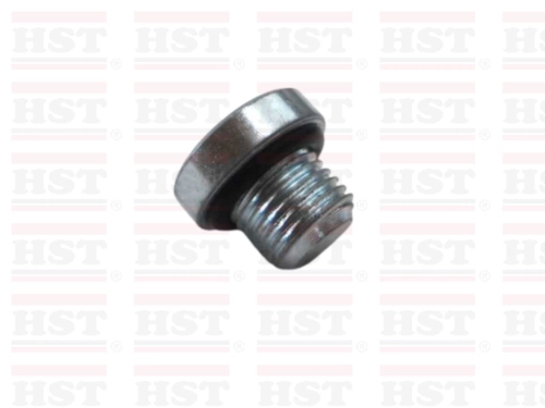 PROTON SAGA FLX GEAR BOX NUT OUT WITH O RING M10x1.0 (GBN-FLX-202)