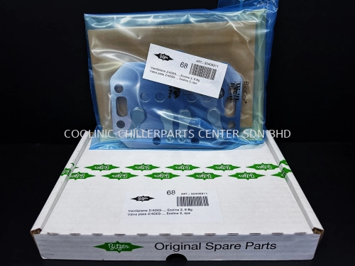 304059-11 Bitzer Valve Plate Package