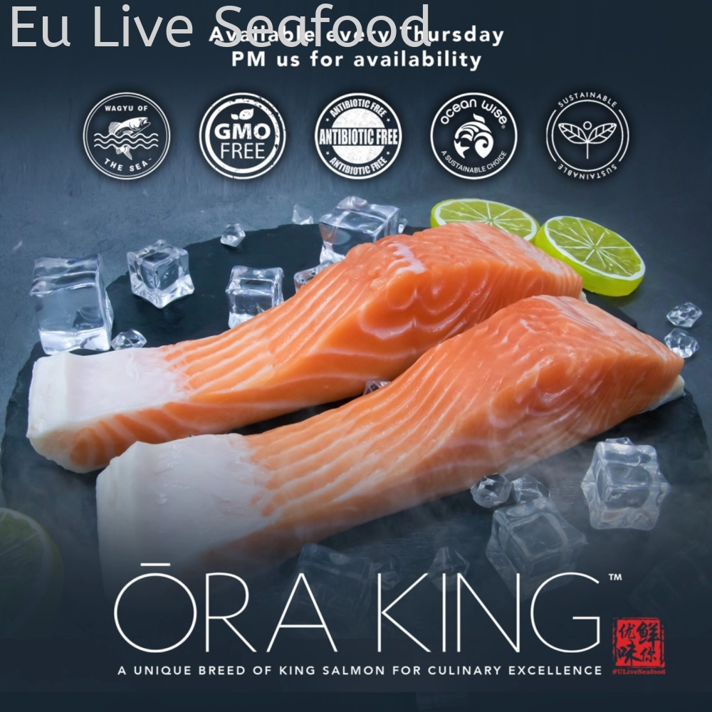 New Zealand ra King Salmon Fillet