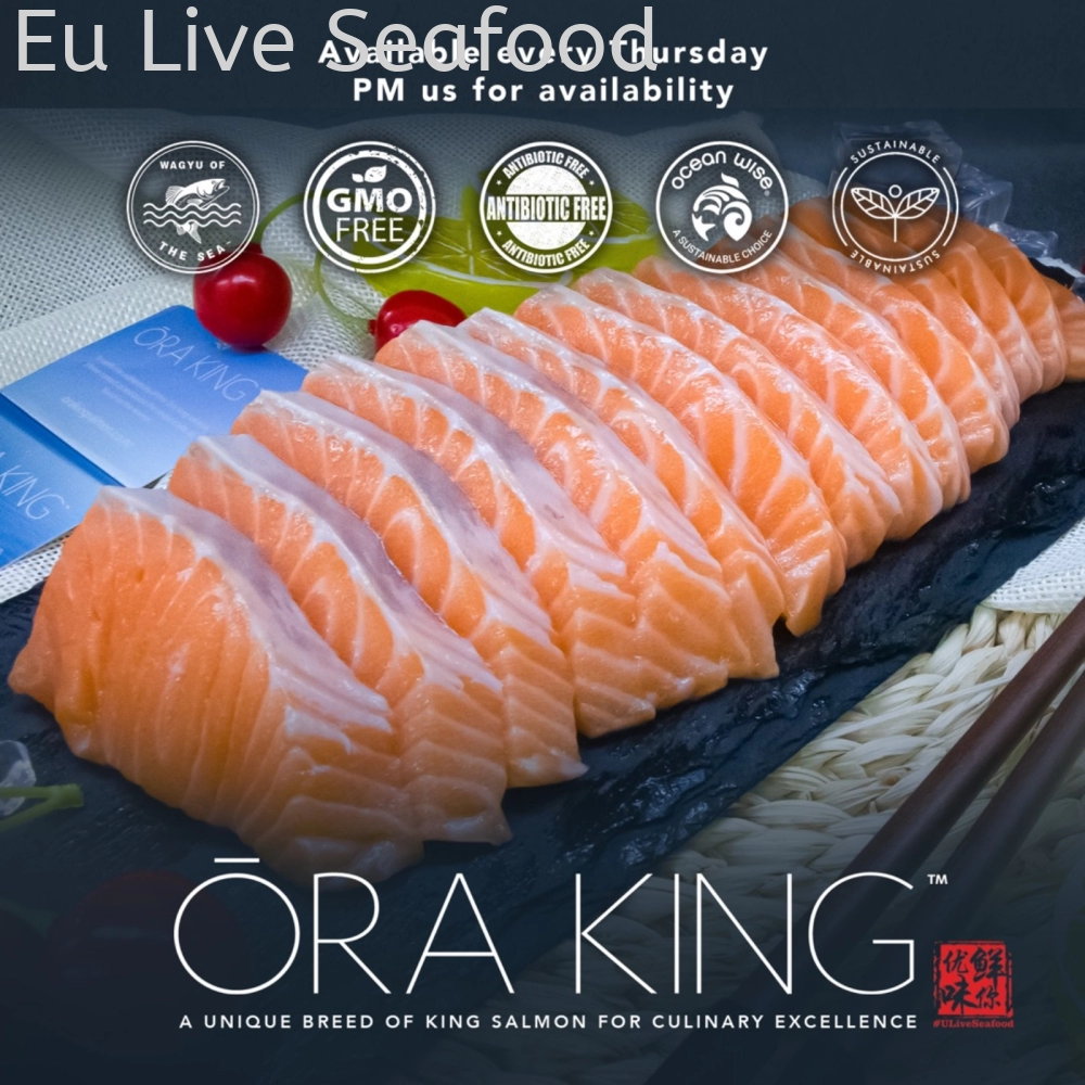 New Zealand ra King Salmon Fillet