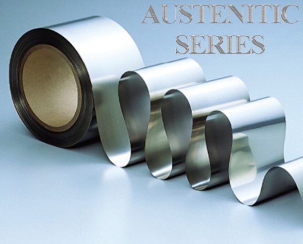 Austenitic Series Stainless Steel Strip Stainless Steel Malaysia, Johor Bahru (JB), Kulai Stainless Steel Supplier, Supply, Provider | Nippon Kinzoku (Malaysia) Sdn Bhd