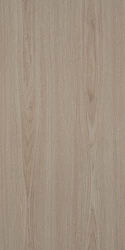 GM11-2909 MENXICO OAK