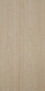 GM12-2089 FRENCH SYCAMORE
