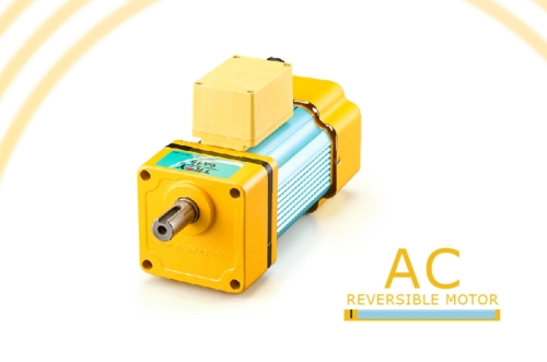 AC Reversible Motor