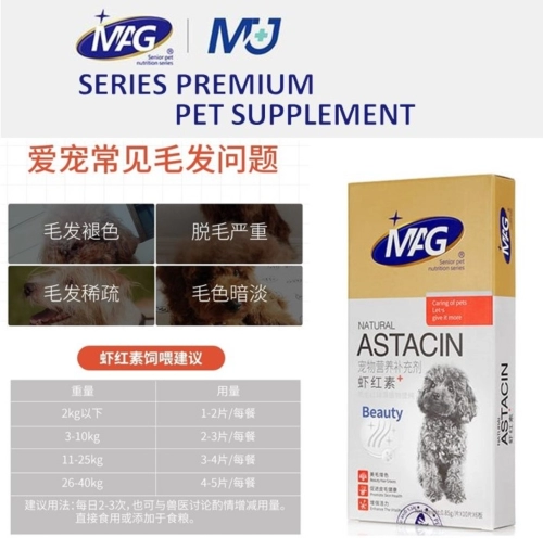 Dog ASTACIN 60pcs