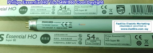 Philips Essential HO TL5 54W/865 Fluo tube