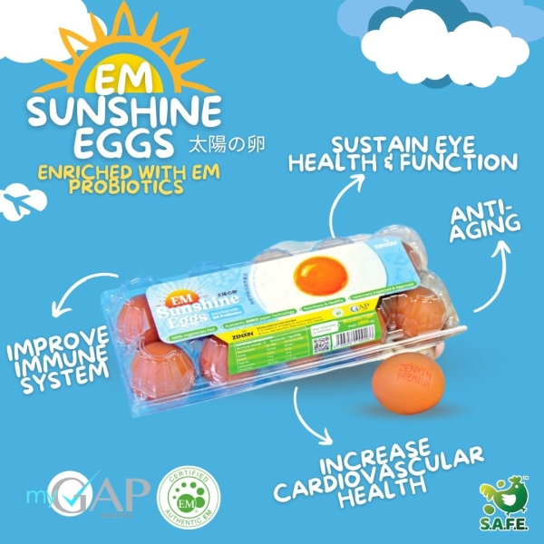 EM Sunshine Eggs EM Certified Products Malaysia Supplier, Suppliers, Supply, Supplies | EMRO Malaysia Sdn Bhd