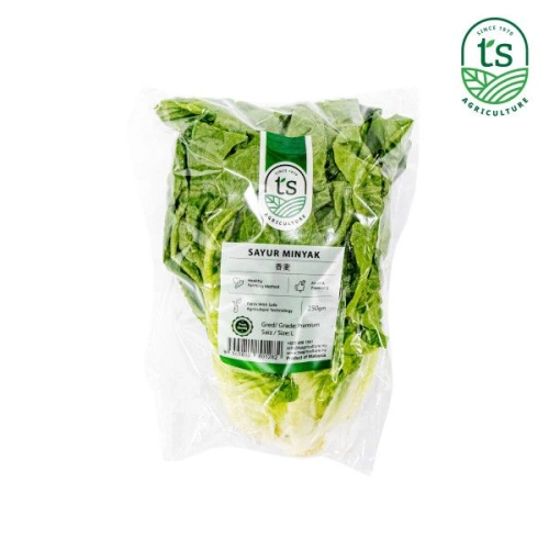 Sayur Minyak 250gm+- (12pck/ctn)