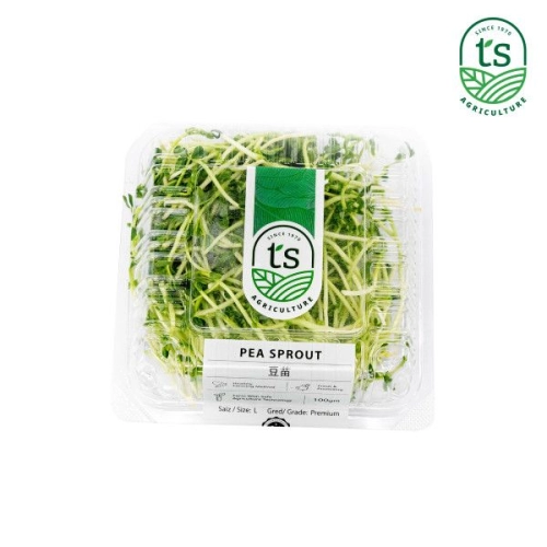 Pea Sprout 100gm+- (12pck/ctn)