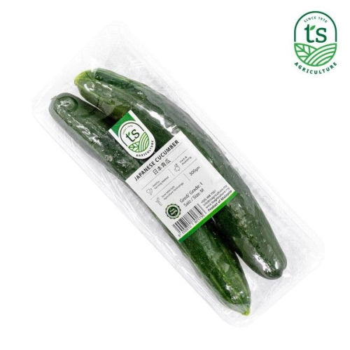 Japanese Cucumber 300gm+- (18pck/ctn)