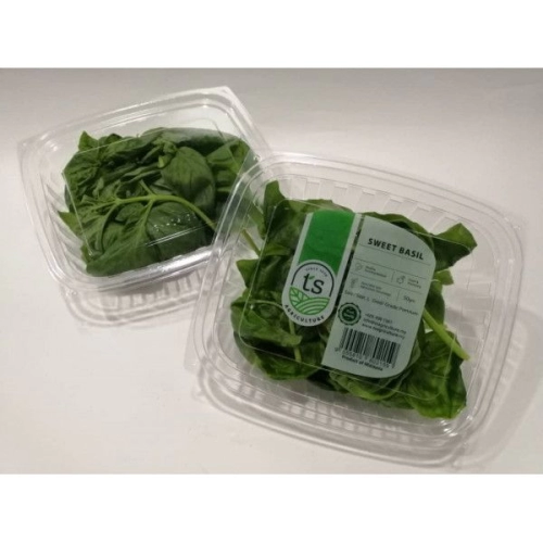 Sweet Basil 50gm+- (15pck/ctn)