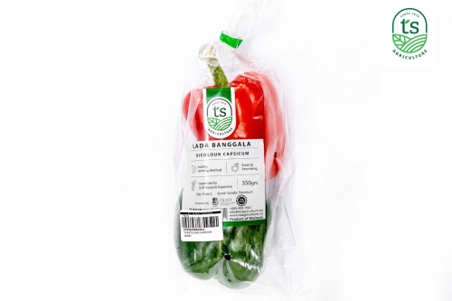 Bicolour Capsicum 350gm+- (16pack/ctn)