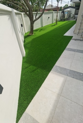 Artificial Grass