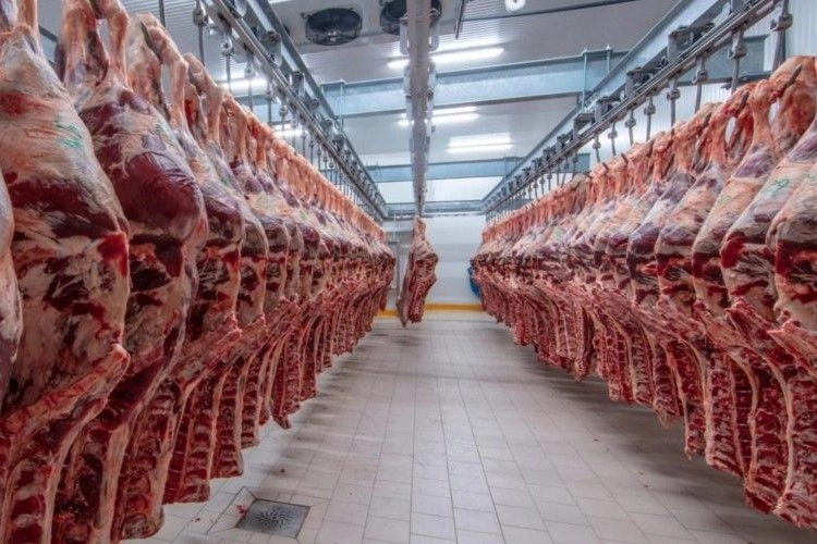 All Beef and Lamb products are sourced from Jakim Accredited abattoir in Australia and New Zealand