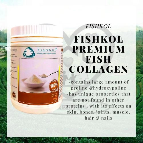 (FishKol) Premium Fish Collagen Powder 300g 深海鱼胶原蛋白粉