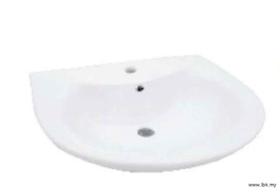 Wall Hung Basin : REI-WB-6002