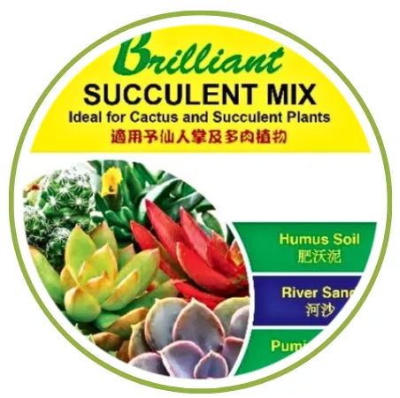 Succulent mix  7LTR 多肉植物