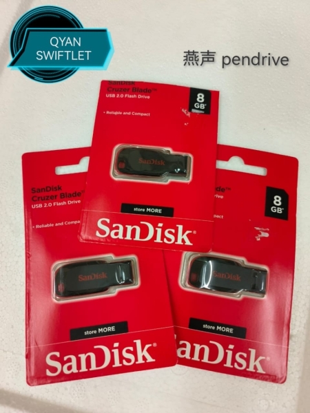 /  PENDRIVE C- SWIFT HOUSE TWEETER,APOLO,SOUND ACCESSORIES Malaysia, Selangor, Kuala Lumpur (KL), Kuala Selangor Supplier, Suppliers, Supply, Supplies | QYAN SWIFTLET SDN BHD