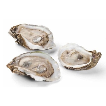 Half Shell Oyster (5pcs) *Frozen*