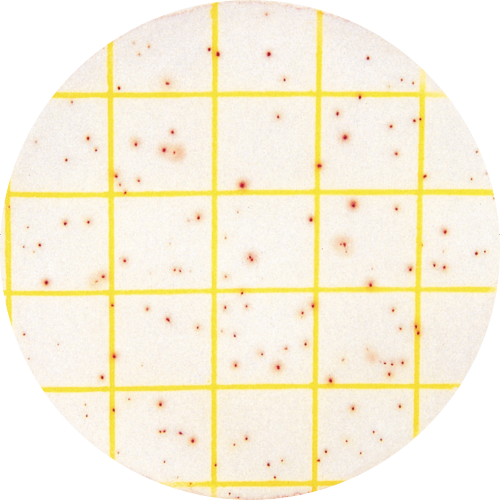 Microbiology Rapid Test Bacteria Microbiology Selangor, Kuala Lumpur (KL), Shah Alam, Malaysia Lab Instruments, Chemistry Laboratory Equipment, Lab Equipment  | ENVIROLAB SDN. BHD.