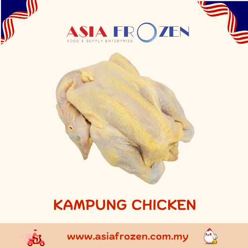 Kampung Chicken 【1.6-1.8kg +-】